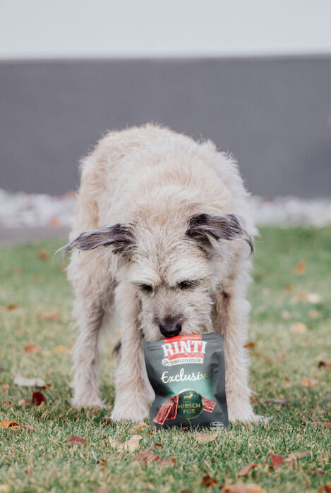 Wookie mit Rinti Singlefleisch Exclusive Snack 